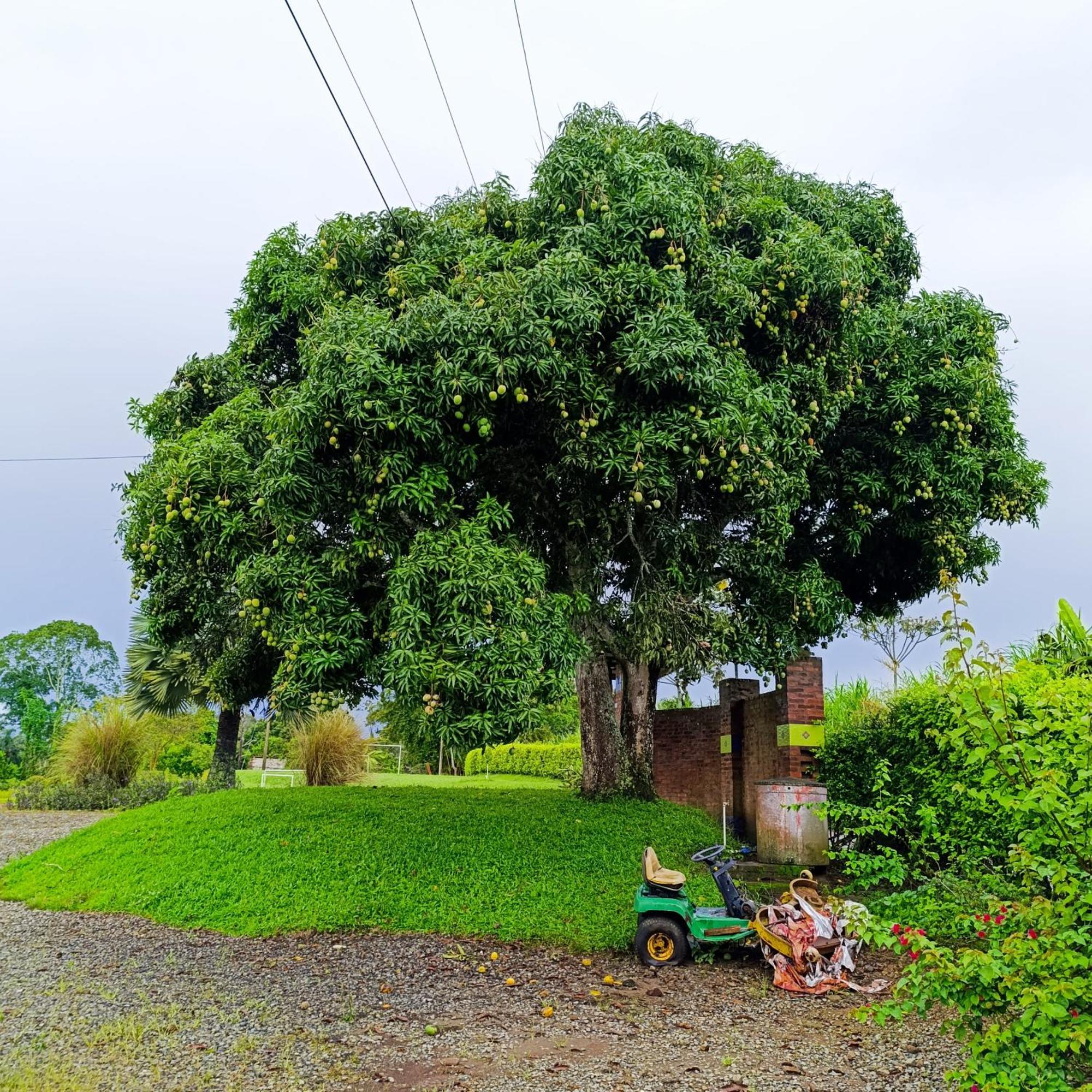 Hotel Campestre Los Mangos กิมบายา ภายนอก รูปภาพ