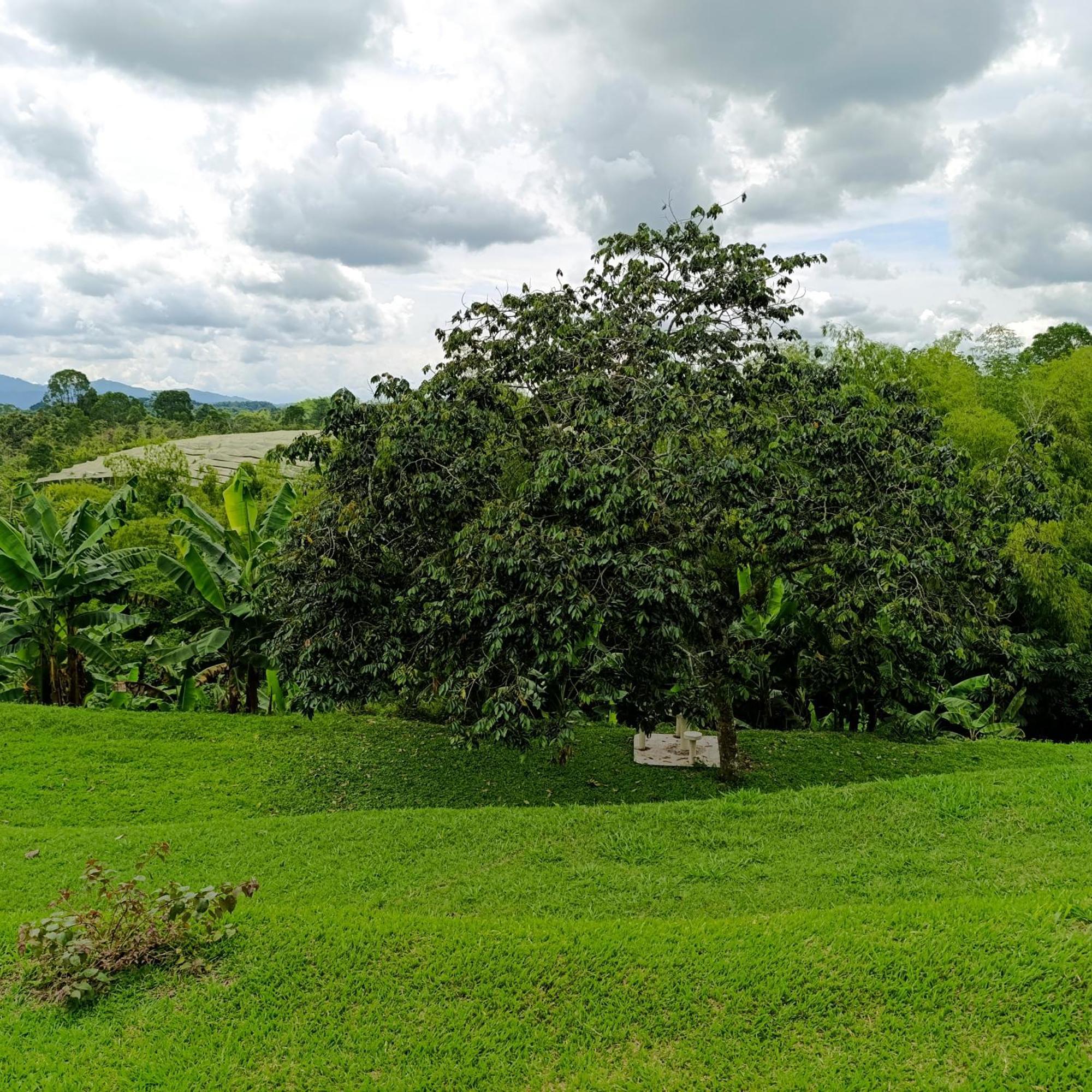 Hotel Campestre Los Mangos กิมบายา ภายนอก รูปภาพ
