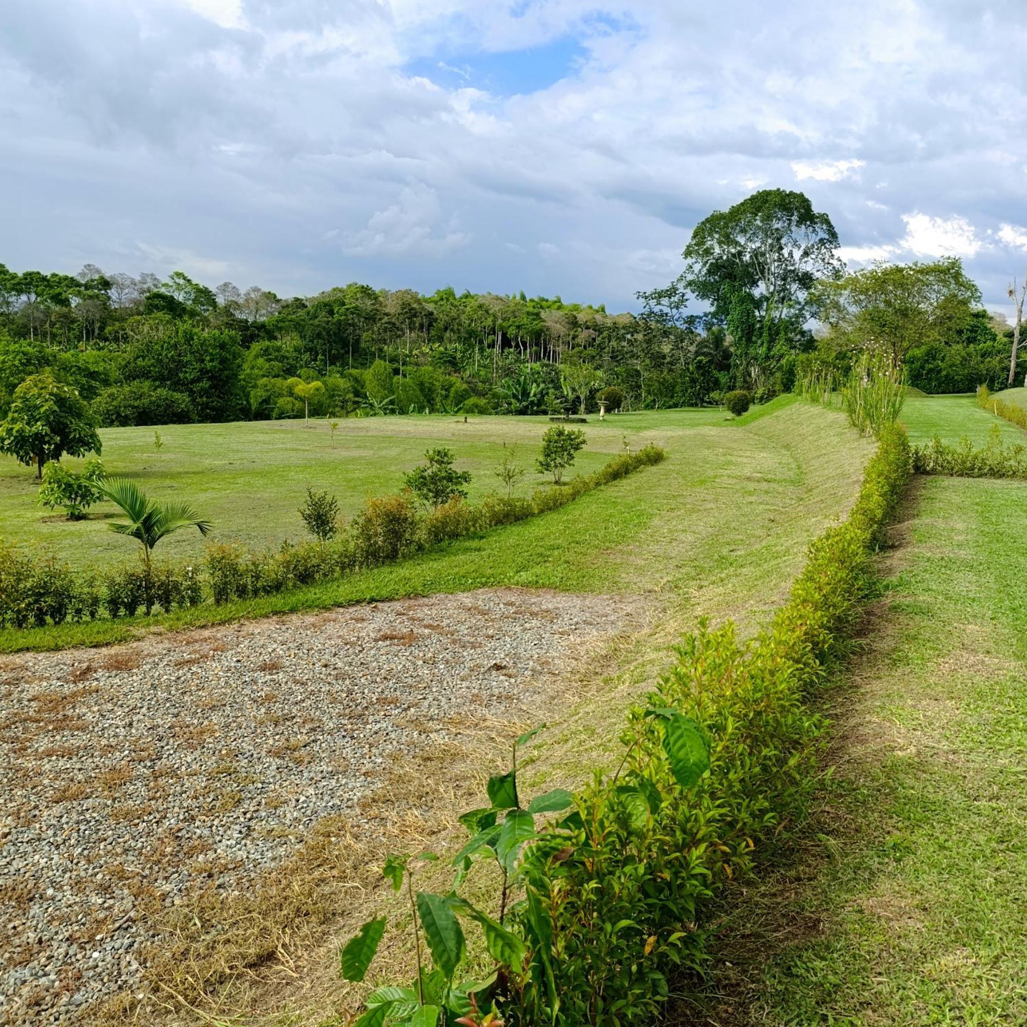 Hotel Campestre Los Mangos กิมบายา ภายนอก รูปภาพ